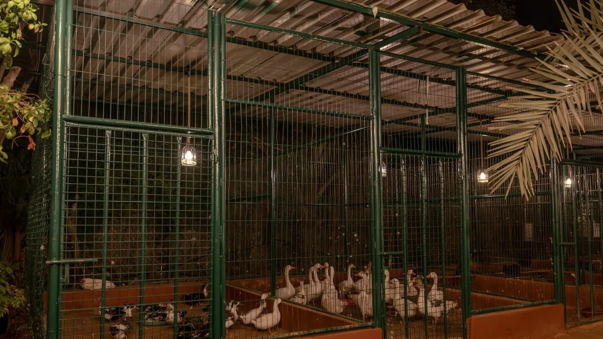 بيت للعطل Greenland Farm دبي