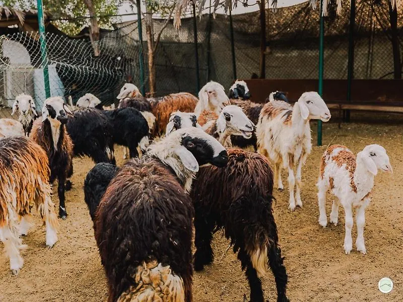 بيت للعطل Greenland Farm دبي