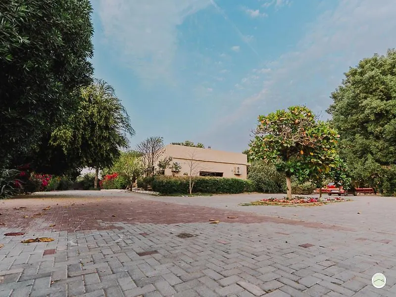 Greenland Farm دبي